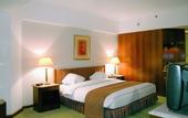 Туры в отель Ramses Hilton