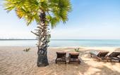 Туры в отель Ravindra Beach Resort & Spa