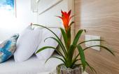 Туры в отель Ascos Coral Beach Hotel