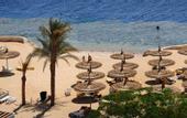 Туры в отель Reef Oasis Blue Bay Resort & Spa