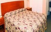 Туры в отель Regency Inn & Suites