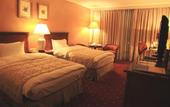 Туры в отель Regency Palace