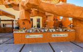 Туры в отель Regency Plaza Aqua Park & SPA