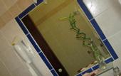 Туры в отель Hotel Regent