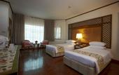 Туры в отель Regent Chalet