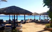 Туры в отель ZYA Regina Resort & Aqua Park Hurghada