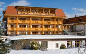 Туры в отель Reischach Hotel
