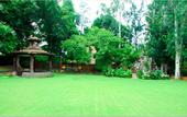 Туры в отель Ashok Country Resort