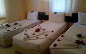 Туры в отель Alanya Rose Hotel