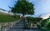 Туры в отель Asia Pattaya Hotel
