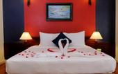 Туры в отель Asian Ruby Luxury Hotel