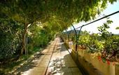 Туры в отель Residence Gocce di Capri