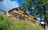 Туры в отель Residence Le Dome des Rousses