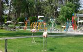 Туры в отель Arcanus Side Resort