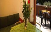 Туры в отель Residence Punta Gro