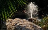 Туры в отель Astir of Paros