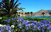 Туры в отель Astir of Paros