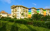 Туры в отель Resort Golden Palm Yalong Bay