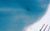 Туры в отель Resort Le Dune & Spa