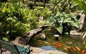 Туры в отель Aston Paki Maui