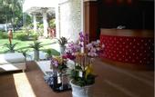 Туры в отель Rex Hotel Vung Tau