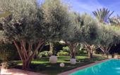 Туры в отель Riad Des Golfs