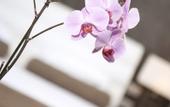 Туры в отель Richmond