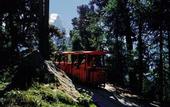 Туры в отель Riffelalp Resort