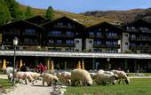Туры в отель Riffelalp Resort
