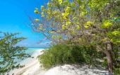 Туры в отель Rihiveli Maldives Resort