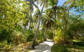 Туры в отель Rihiveli Maldives Resort