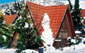 Туры в отель Rimonim Hermon Holiday Village