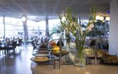 Туры в отель Neptune Eilat Hotel