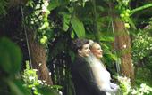 Туры в отель Risata Bali Resort & Spa