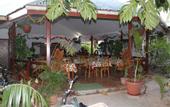 Туры в отель Rising Sun Guesthouse