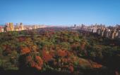 Туры в отель Ritz-Carlton Central Park