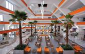 Туры в отель Hotel Riu Caribe