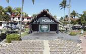 Туры в отель Be Live Experience Las Morlas