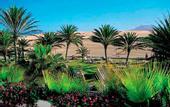 Туры в отель Club Hotel Riu Oliva Beach Resort