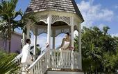 Туры в отель Riu Tropical Bay