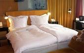 Туры в отель Rival Hotel