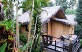 Туры в отель River Hill Resort