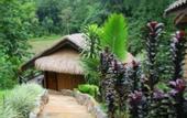 Туры в отель River Hill Resort