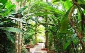 Туры в отель River Kwai Village Hotel