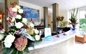 Туры в отель Hotel Riviera Blu