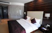 Туры в отель Grand Ankara Hotel & Convention Center