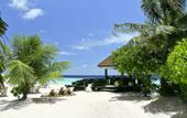 Туры в отель Robinson Club Maldives
