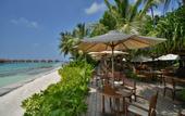 Туры в отель Robinson Club Maldives