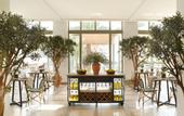 Туры в отель Grecotel LuxMe Dama Dama