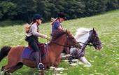 Туры в отель Best Western Golf & Reitsporthotel Romerhof